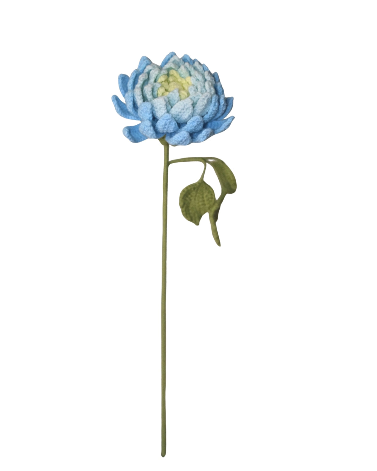 Untitled No. 041 — Dahlia, Blue