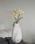 Untitled No. 042 — Rain Lily, Yellow