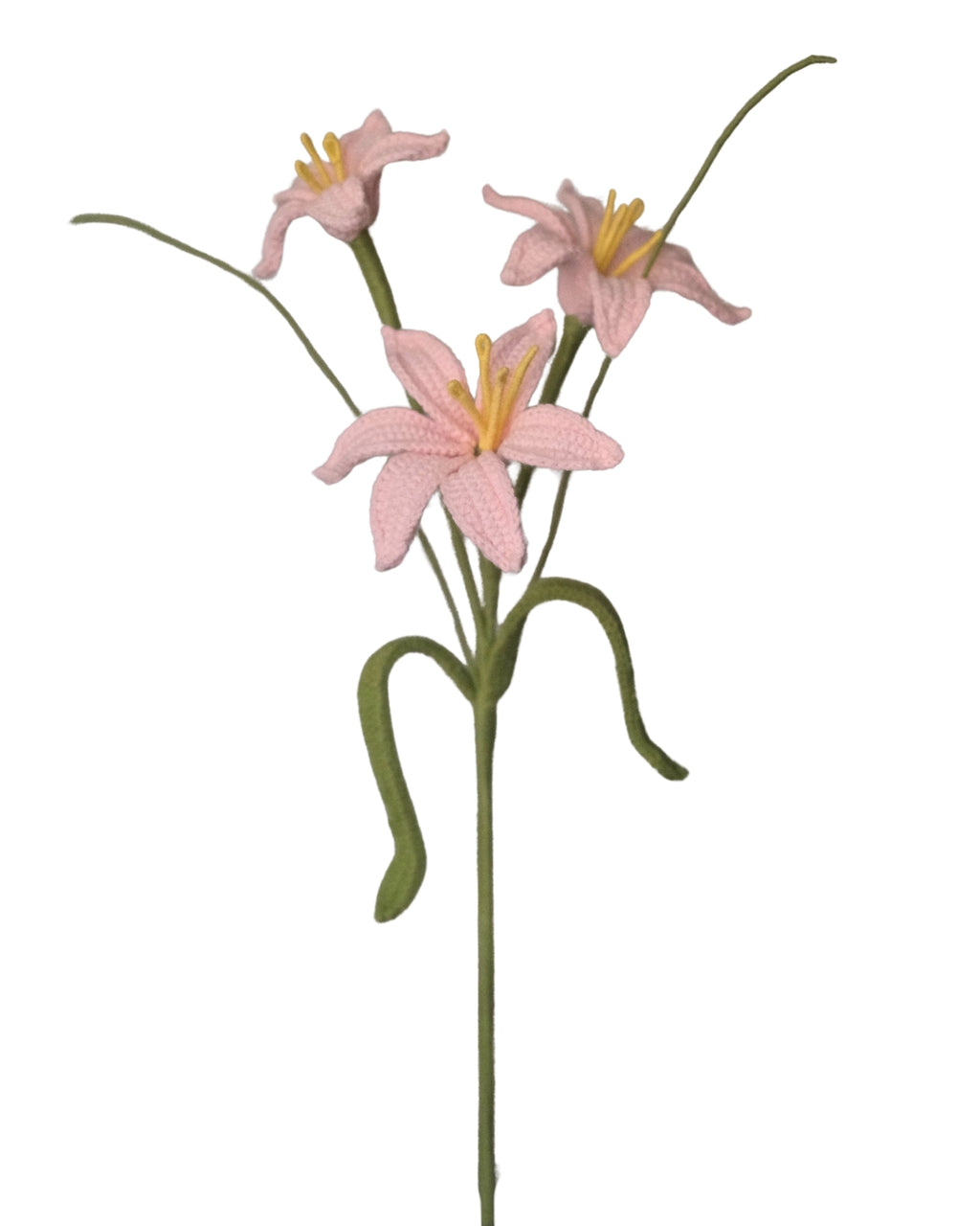 Untitled No. 043 — Regenlilie, Rosa