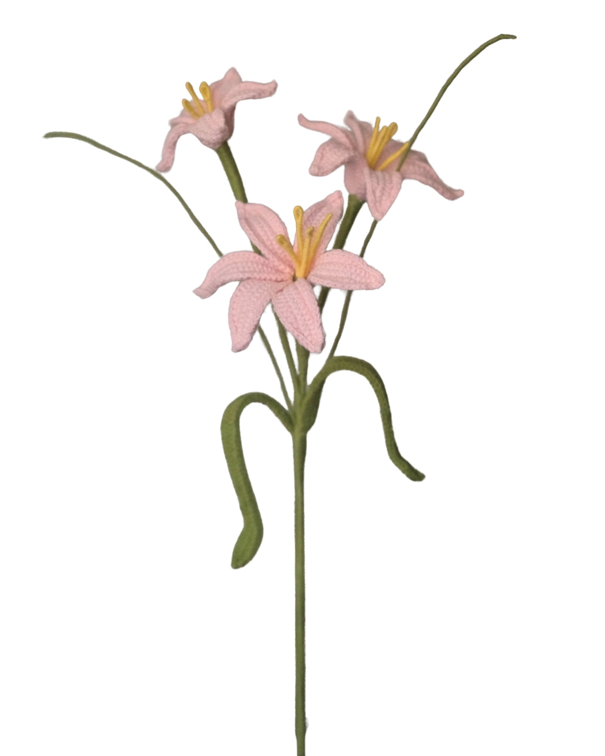 Untitled No. 043 — Rain Lily, Pink