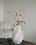 Untitled No. 043 — Regenlilie, Rosa