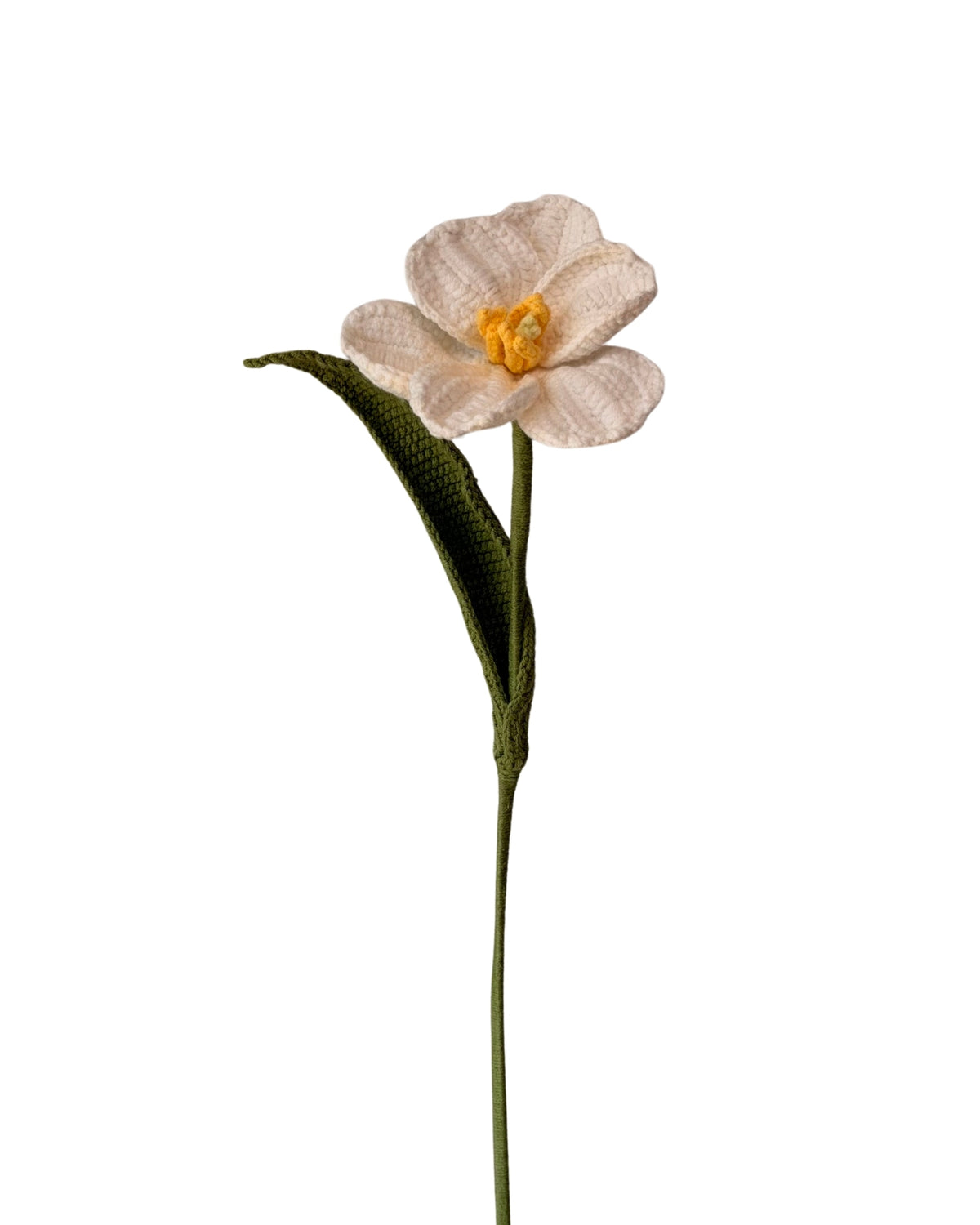 Untitled No. 022 — Tulip, White