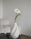 Untitled No. 022 — Tulip, White