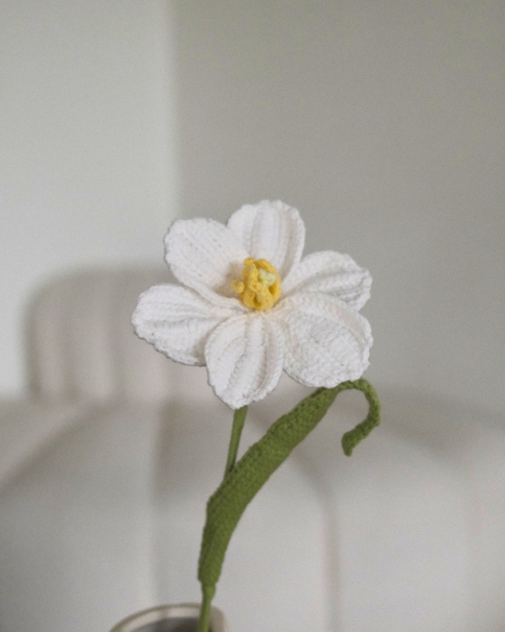 Untitled No. 022 — Tulip, White
