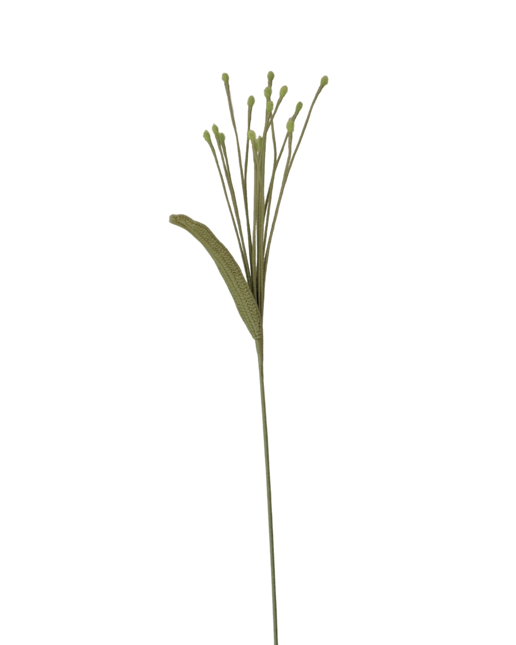 Untitled No. 046 — Pennisetum, Light Green