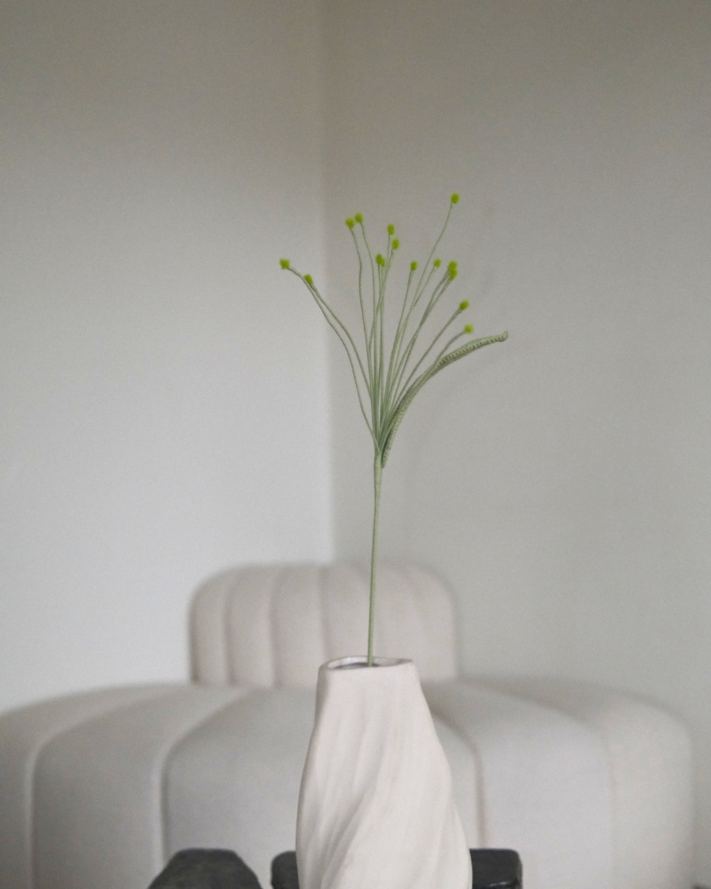 Untitled No. 046 — Pennisetum, Light Green