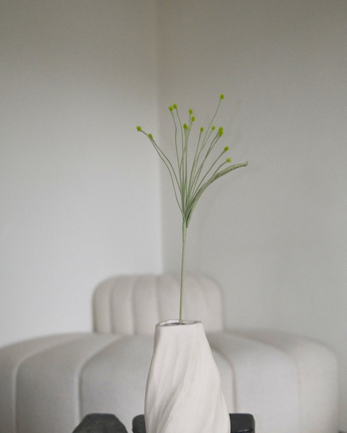 Untitled No. 046 — Pennisetum, Light Green