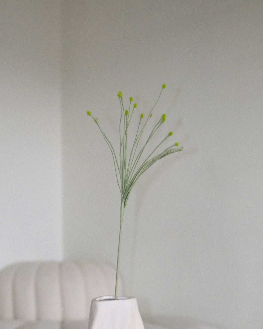 Untitled No. 046 — Pennisetum, Light Green