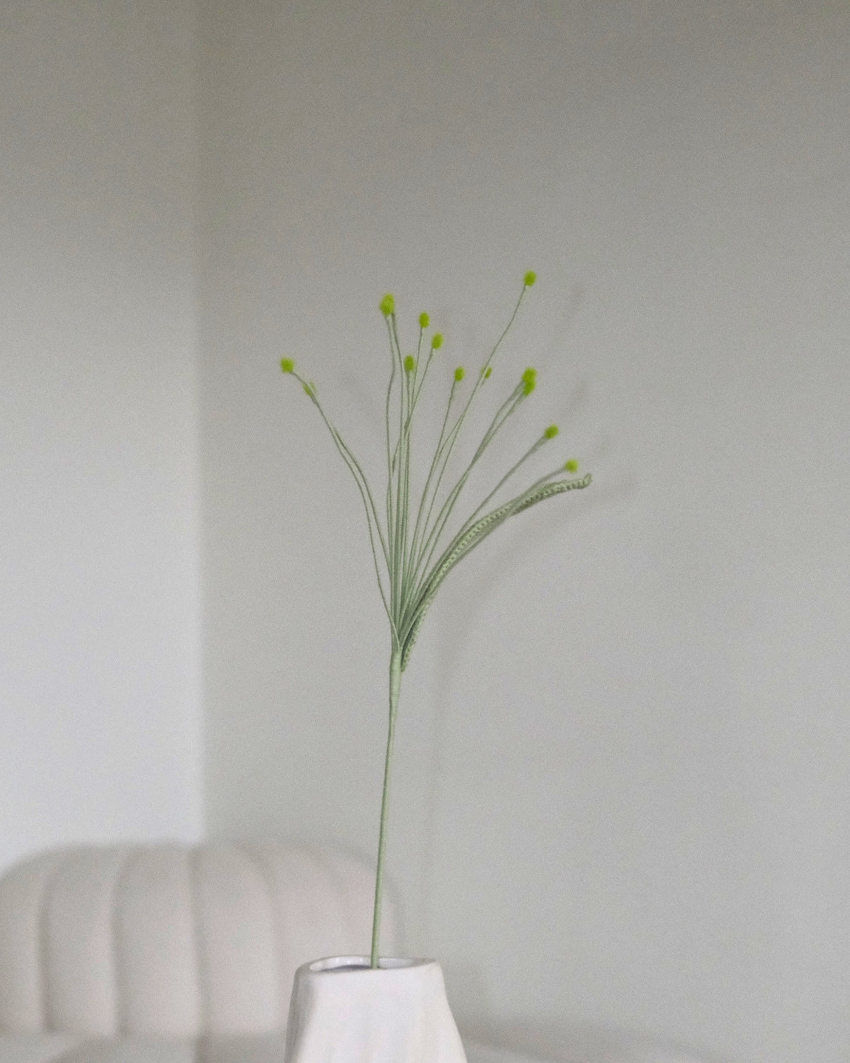 Untitled No. 046 — Pennisetum, Light Green