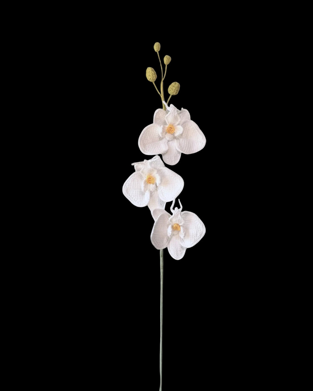 Untitled Flowers — Phalaenopsis, weiss, handgehäkelt, freigestellt