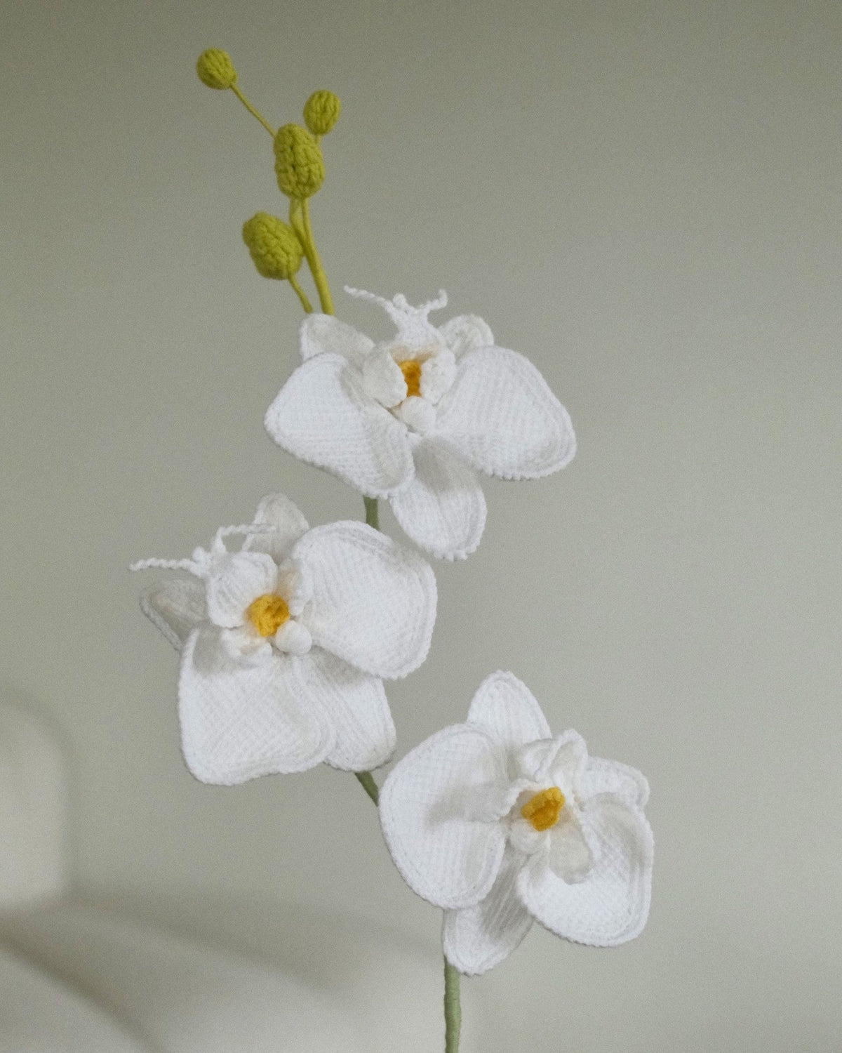 Untitled Flowers — Phalaenopsis, weiss, handgehäkelt, Detail