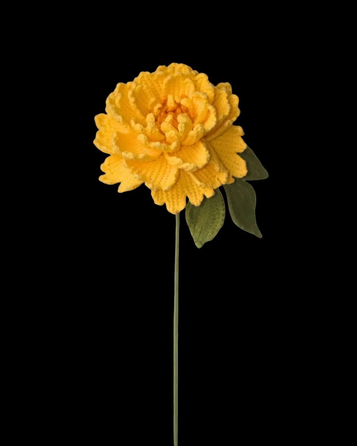 Untitled Flowers — Pfingstrose, gelb, handgehäkelt, freigestellt
