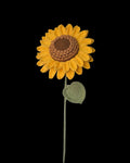 Untitled Flowers — Sonnenblume, gelb, handgehäkelt, freigestellt