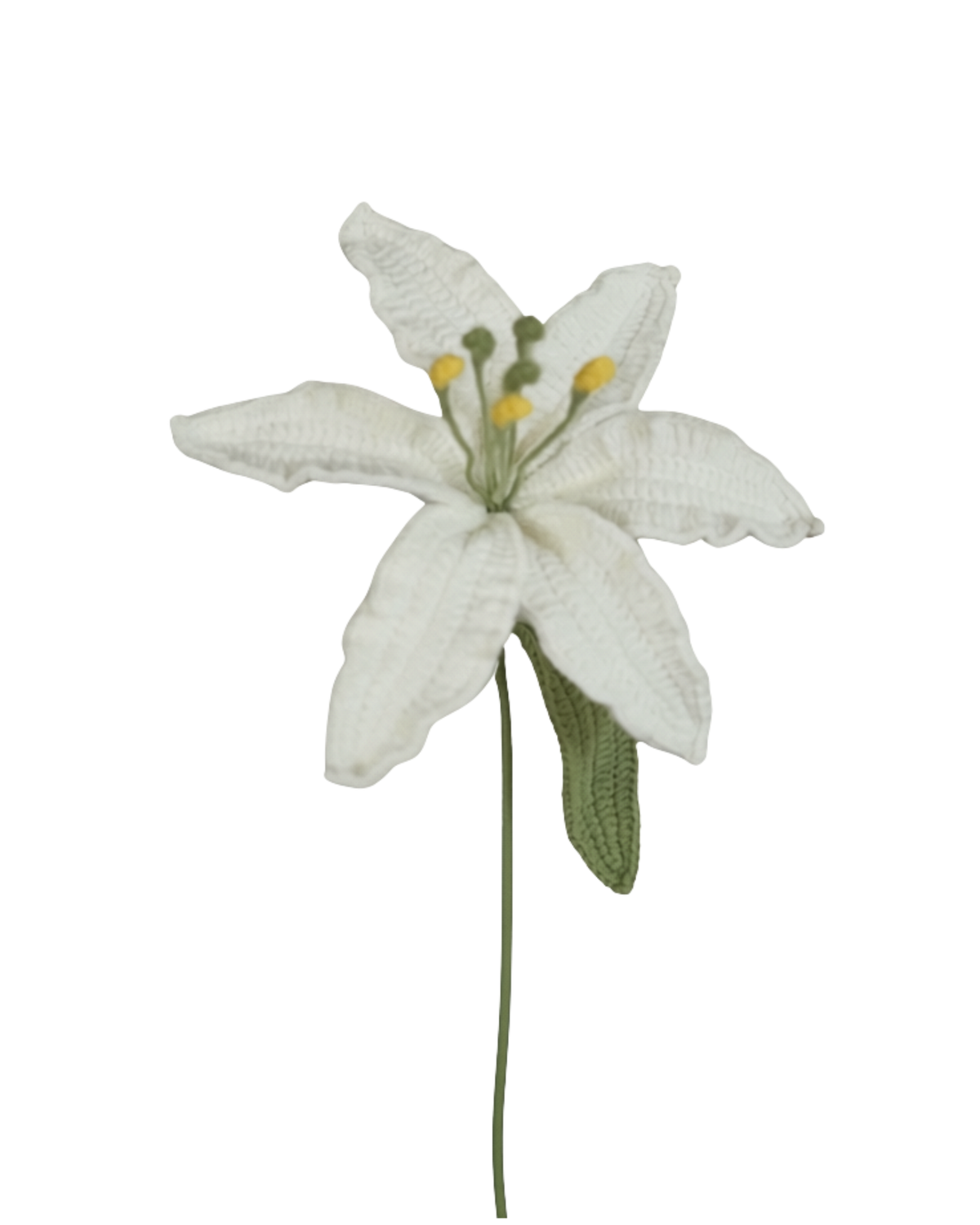 Untitled No. 017 — Lily, White