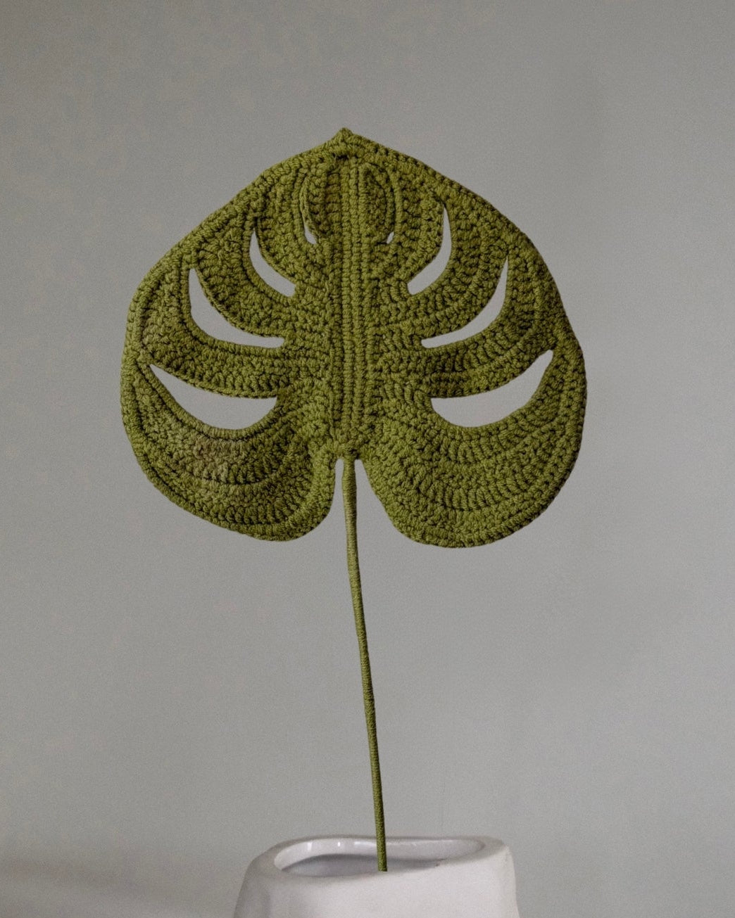 Untitled No. 019 — Large Monstera Leaf, Green