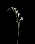 Untitled Flowers — Freesie, weiss, handgehäkelt, freigestellt