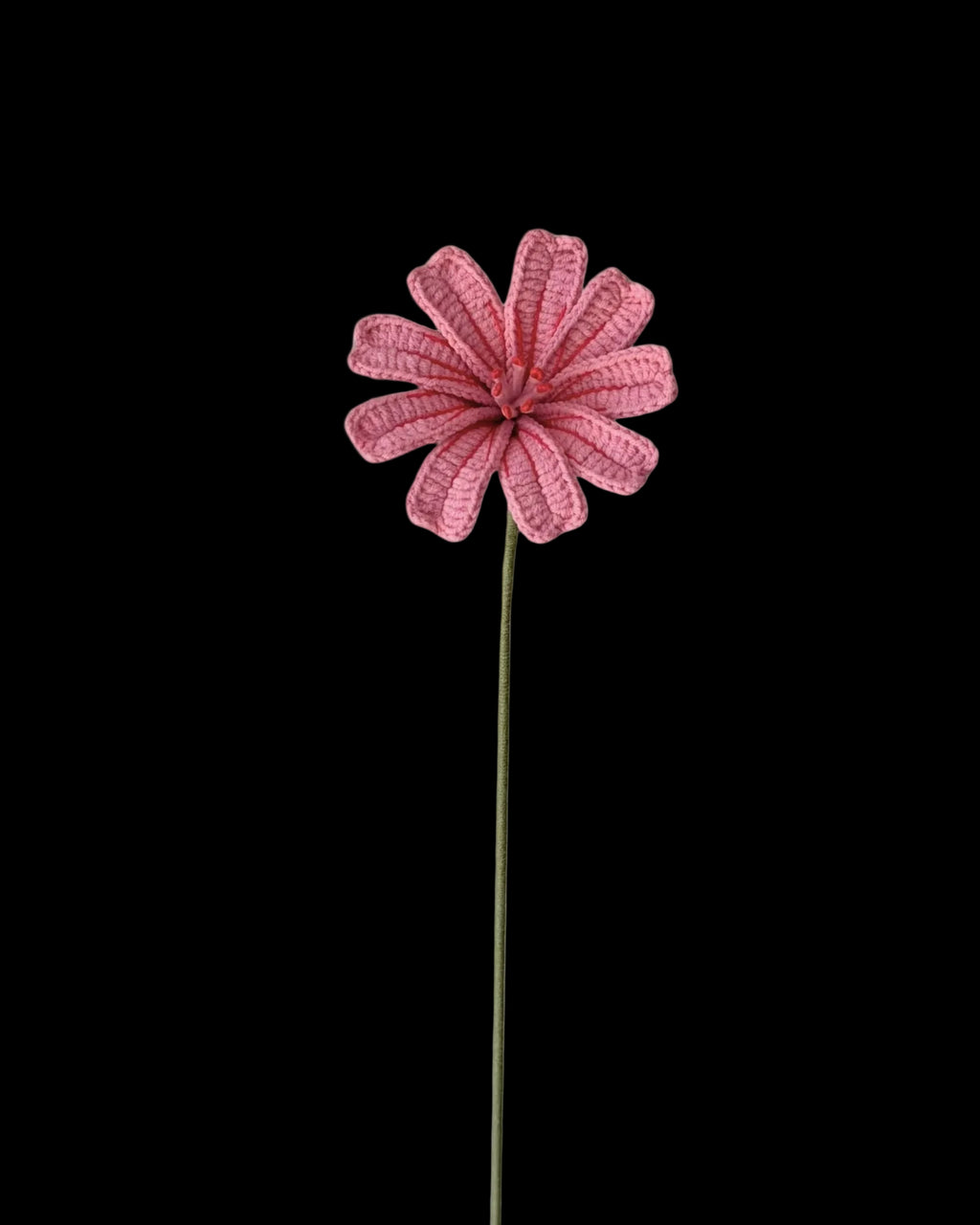 Untitled Flowers — Lewisia, rosa, handgehäkelt, freigestellt