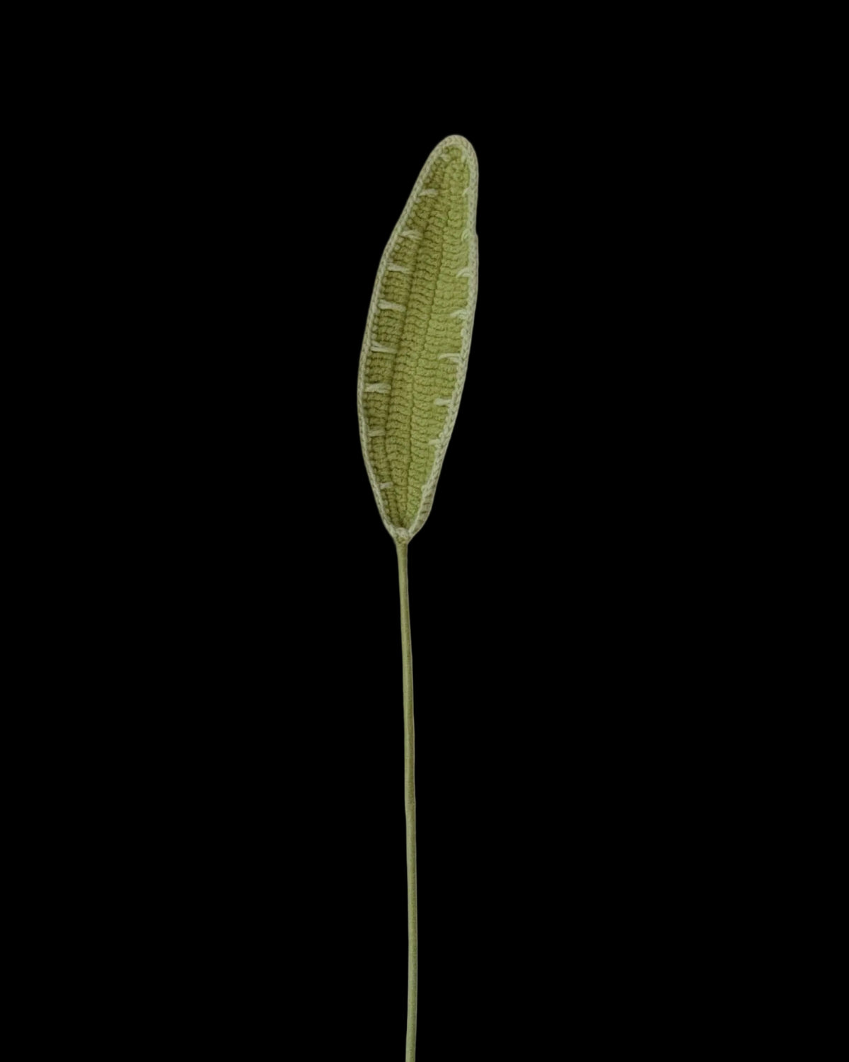 Untitled Flowers — Blatt, handgehäkelt, freigestellt