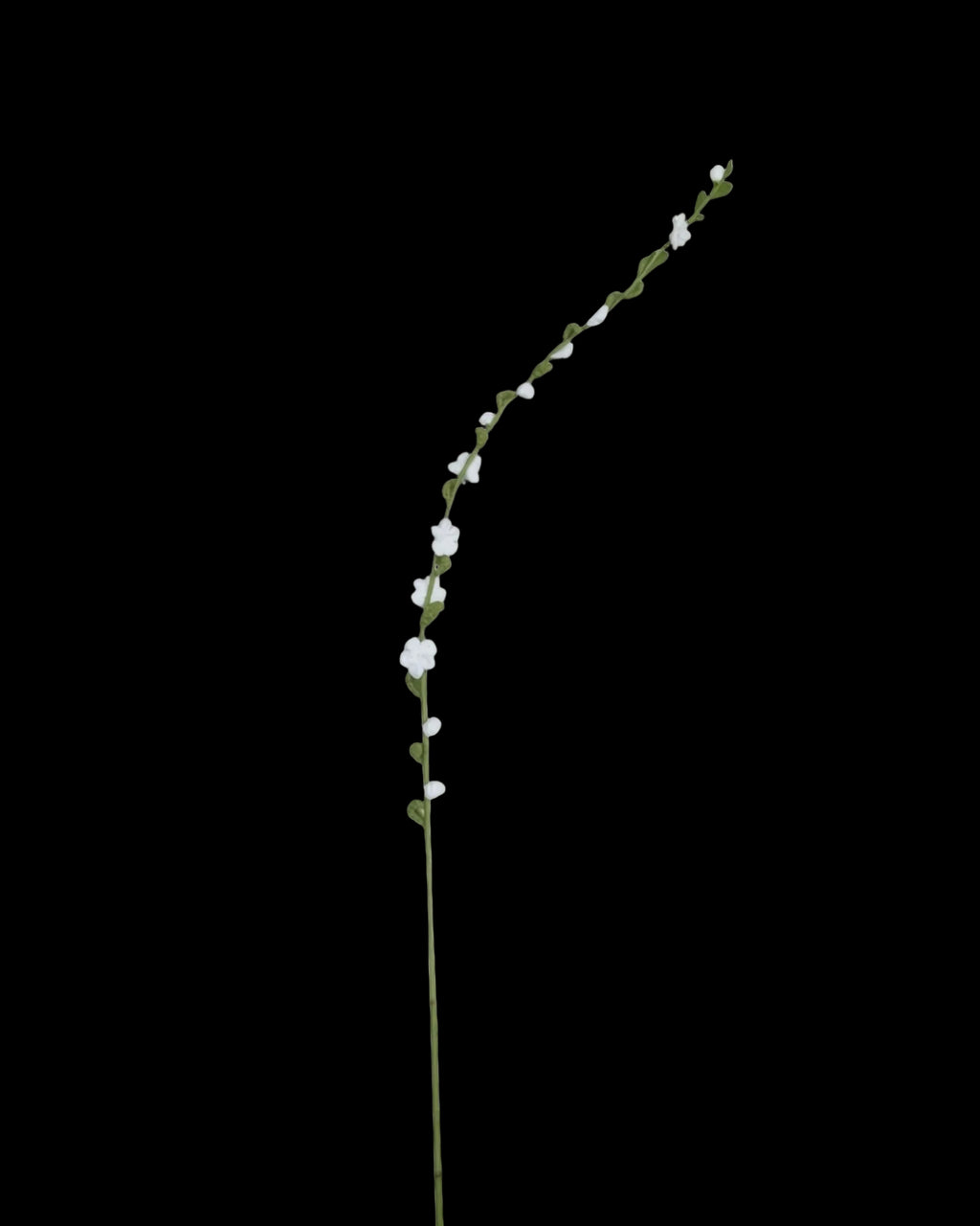 Untitled Flowers — Silberweide, handgehäkelt, freigestellt