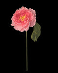 Untitled Flowers — Grosse Pfingstrose, rosa, handgehäkelt, freigestellt