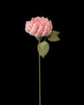 Untitled Flowers — Dahlie, rosa, handgehäkelt, freigestellt